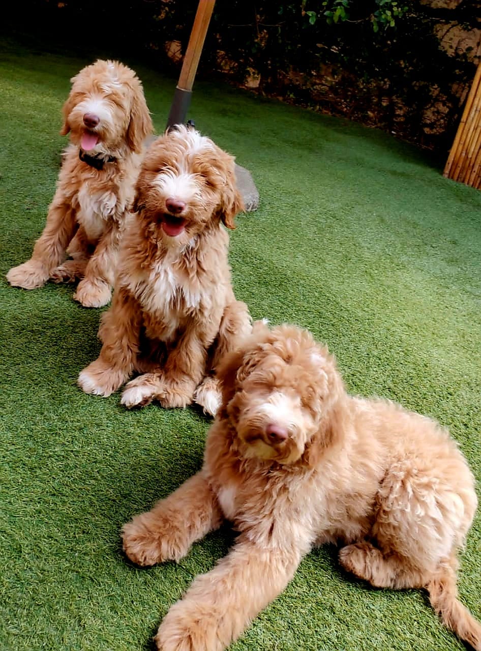 PHOTO-2025-04-11-15-37-01